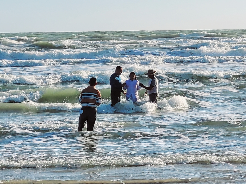 Fruto da Tradução - Guajira - Venezuela